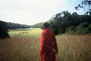 maasai_nature